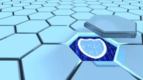 Measuring the high costs of web malware protection