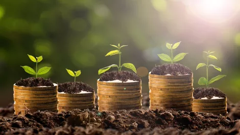Auckland school gets largest-ever Govt investment