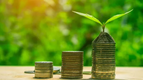 Seven red flags impacting business growth in 2018