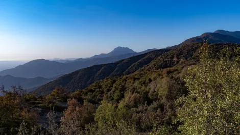 Entel AI and DataRobot use AI to fight forest fires